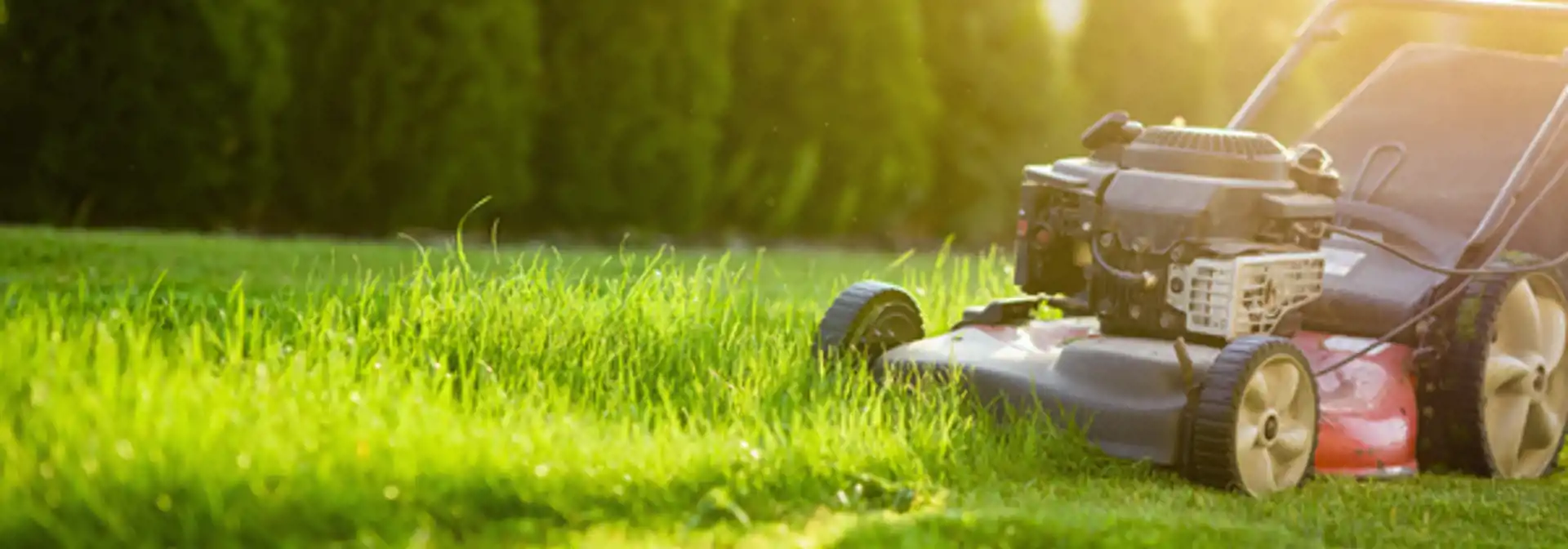 Green Services LLC website screenshot